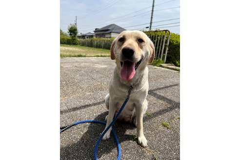 ピースちゃん1枚目
