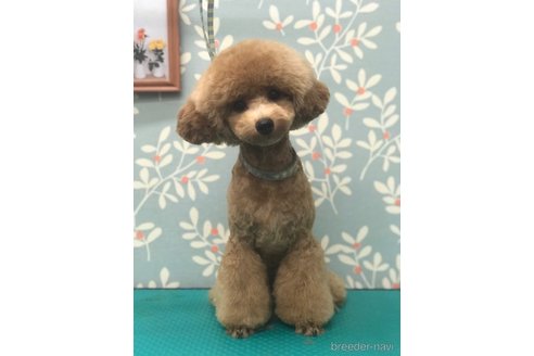 ティナちゃん1枚目