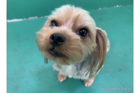 ポニョちゃん1枚目