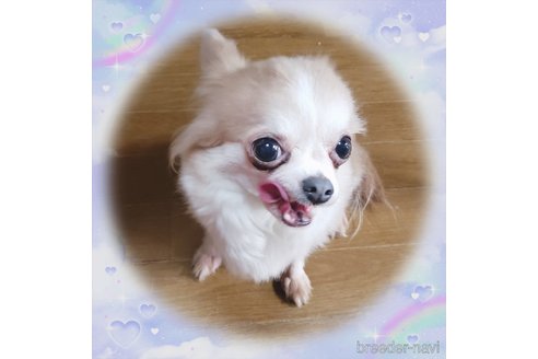 アシュレイ🌹ちゃん1枚目