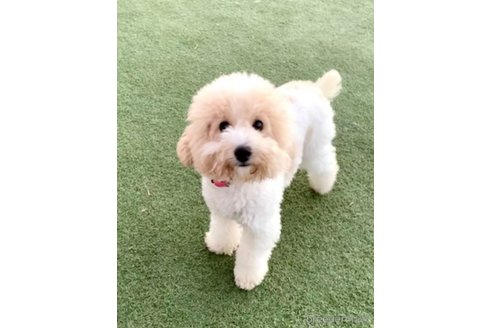 ちゃん1枚目