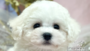 オンライン見学