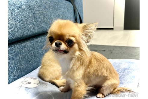 めいちゃん1枚目