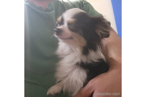 オレちゃんちゃん1枚目