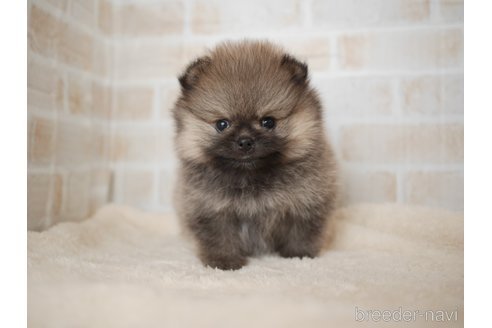 child_img_1_5ab67b6c6cc4.jpg