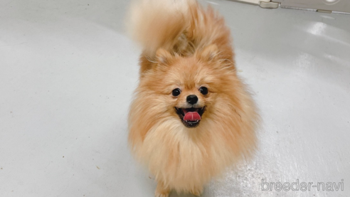のこちゃん1枚目
