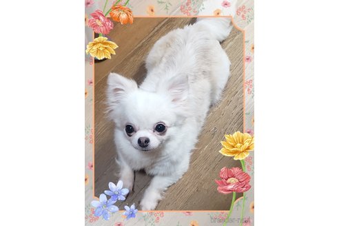 マリア🍓ちゃん1枚目