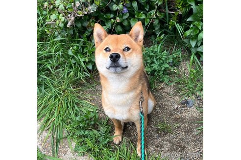 元就くん1枚目