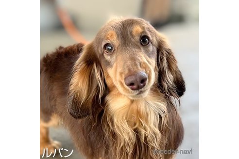 ルパンくん1枚目