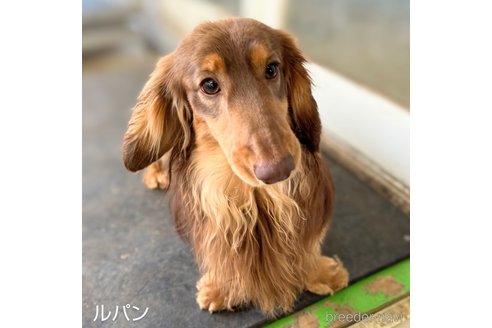 ルパンくん1枚目