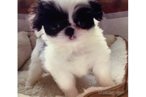 柚衣ちゃん1枚目