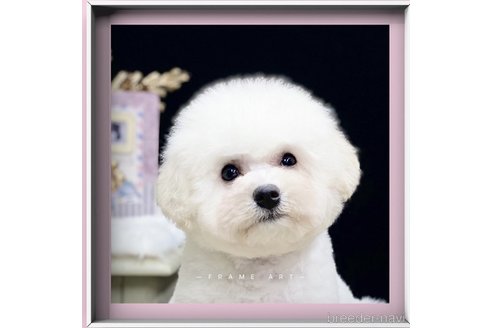 ちゃん1枚目
