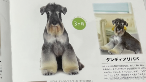 アリババくん1枚目