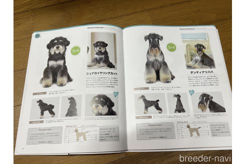 アリババくん1枚目