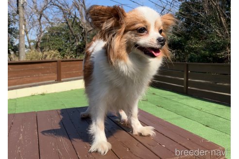 すずちゃん1枚目
