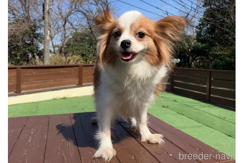 すずちゃん1枚目