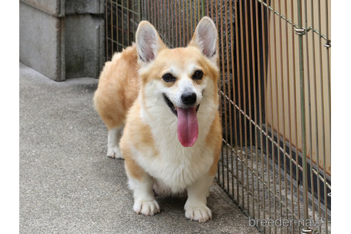 ミルクちゃん1枚目