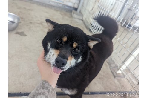 ちゃん1枚目