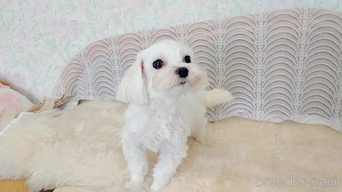 エマちゃん1枚目