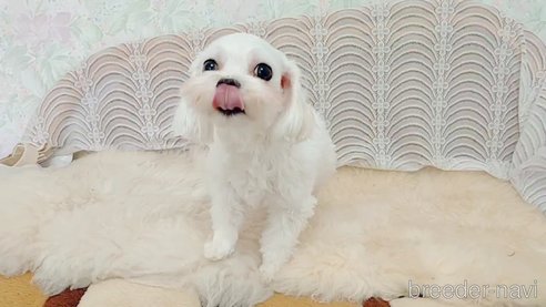 エマちゃん1枚目