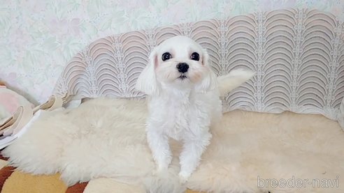 エマちゃん1枚目