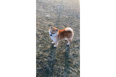 ちゃん1枚目