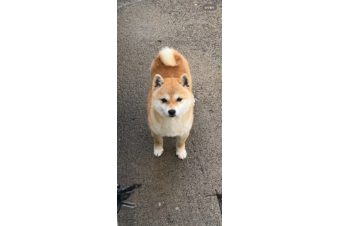 ちゃん1枚目