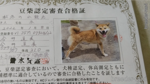 ちりまるくん1枚目