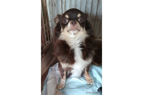 メイサちゃん1枚目