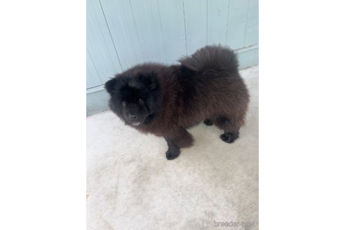 パンダちゃん1枚目