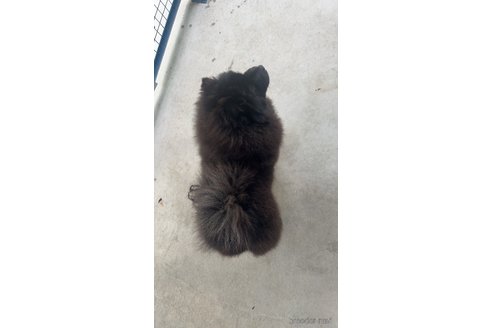 パンダちゃん1枚目
