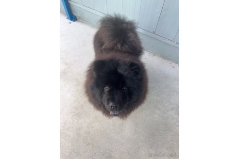 パンダちゃん1枚目
