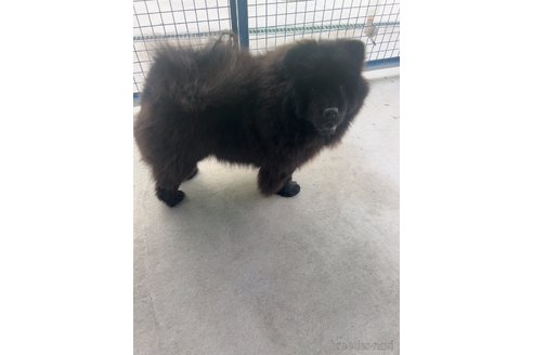 パンダちゃん1枚目