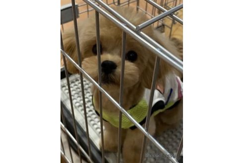 ちゃん1枚目