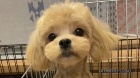 ちゃん1枚目