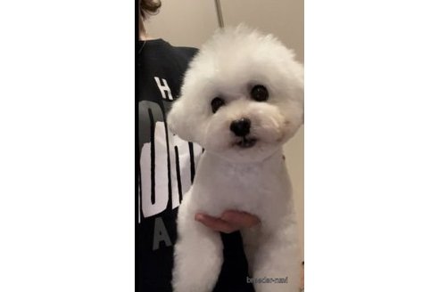 くん1枚目