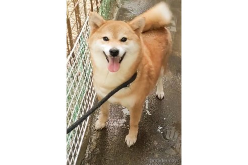 姫ちゃん1枚目