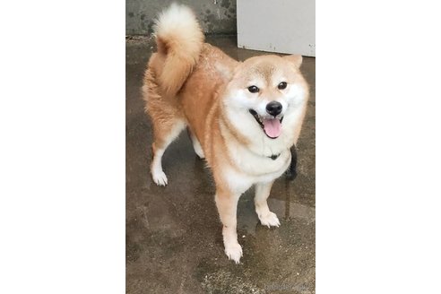 姫ちゃん1枚目