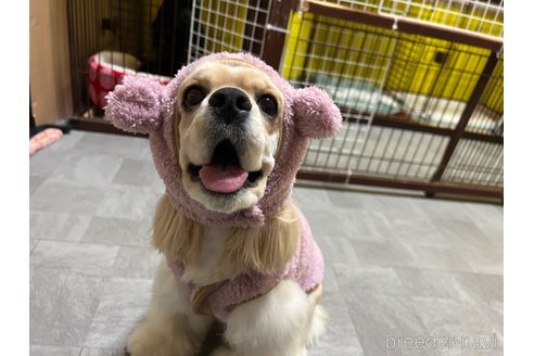 リコちゃん1枚目