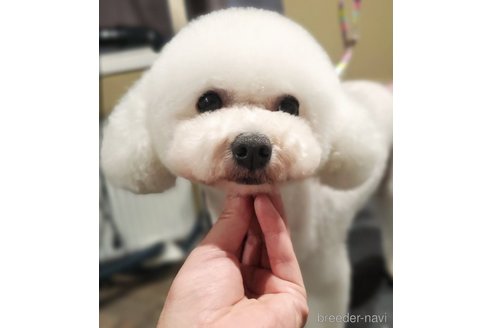 すいちゃんちゃん1枚目