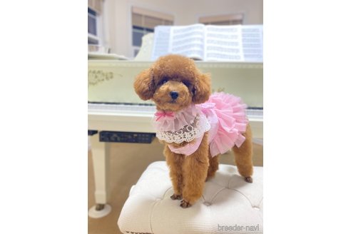 ちゃん1枚目