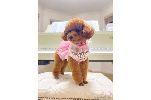 ちゃん1枚目