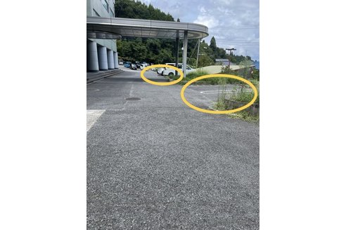 成約済の千葉県のタイニープードル-314045の3枚目