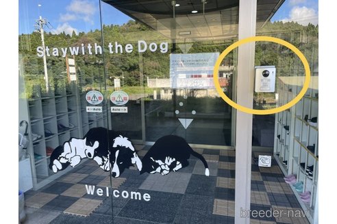 成約済の千葉県のタイニープードル-314045の2枚目