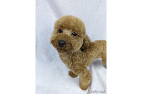 なぎちゃん1枚目