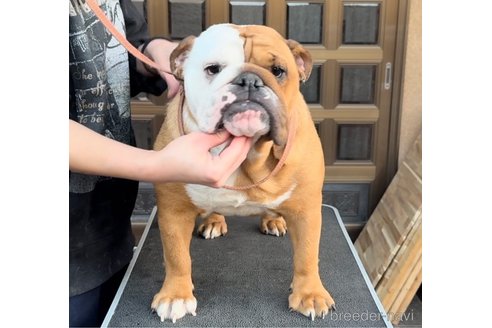 エルサちゃん1枚目