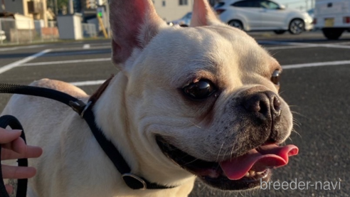 ぶるっちちゃん1枚目