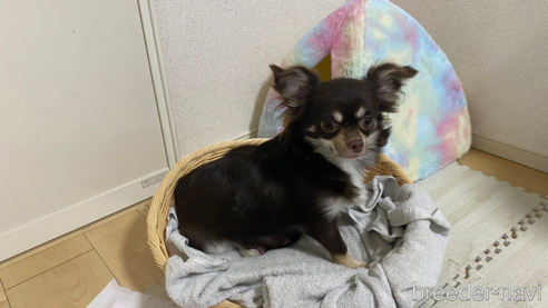 トコちゃん1枚目
