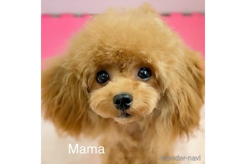 ちゃん1枚目