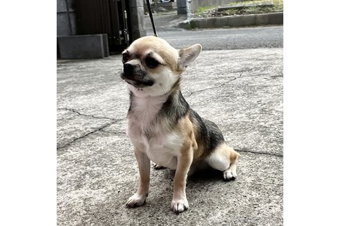 ジローマルくん1枚目